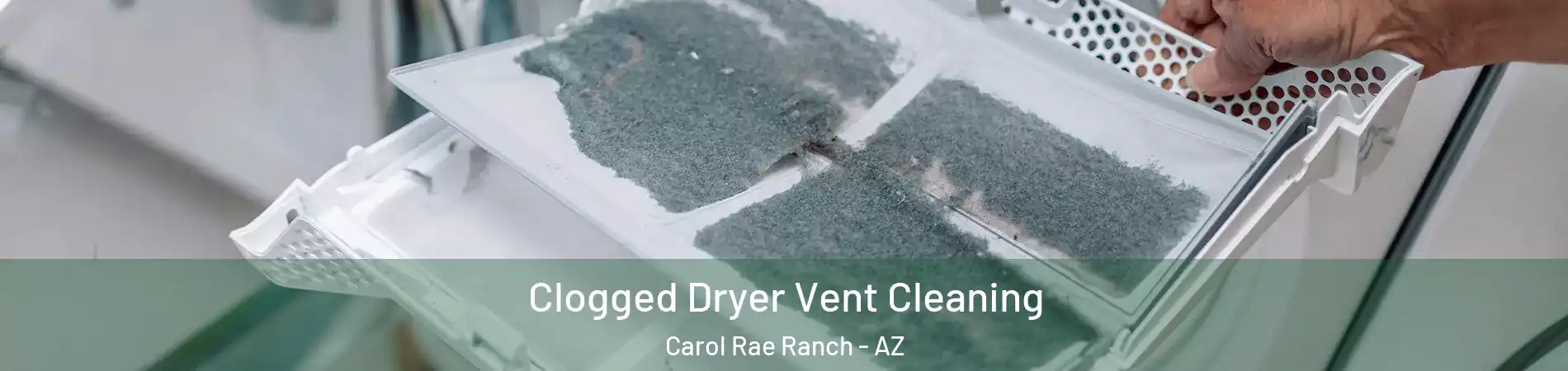 Clogged Dryer Vent Cleaning Carol Rae Ranch - AZ