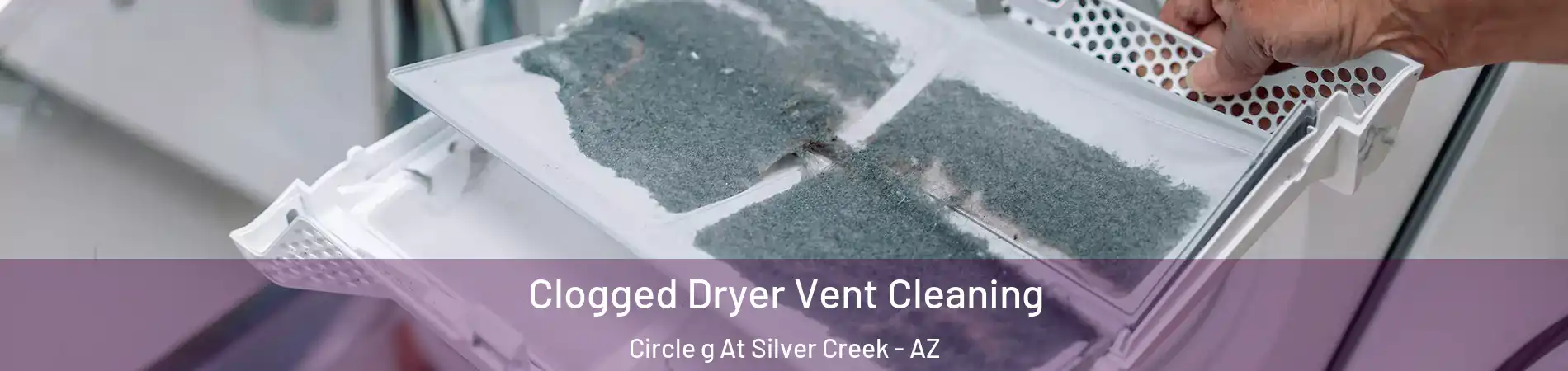 Clogged Dryer Vent Cleaning Circle g At Silver Creek - AZ