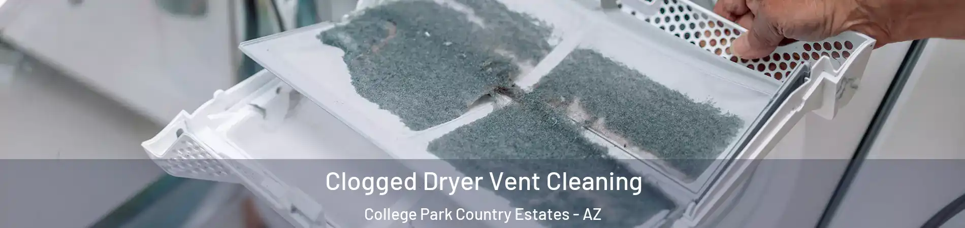 Clogged Dryer Vent Cleaning College Park Country Estates - AZ