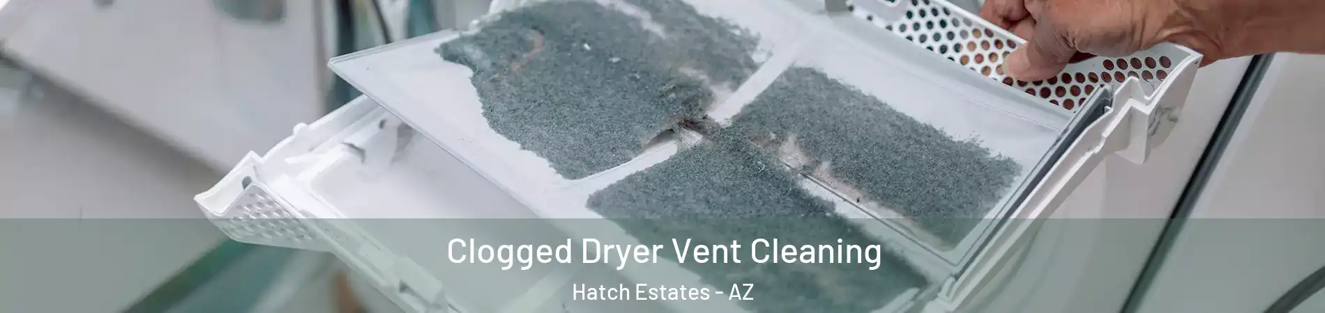 Clogged Dryer Vent Cleaning Hatch Estates - AZ