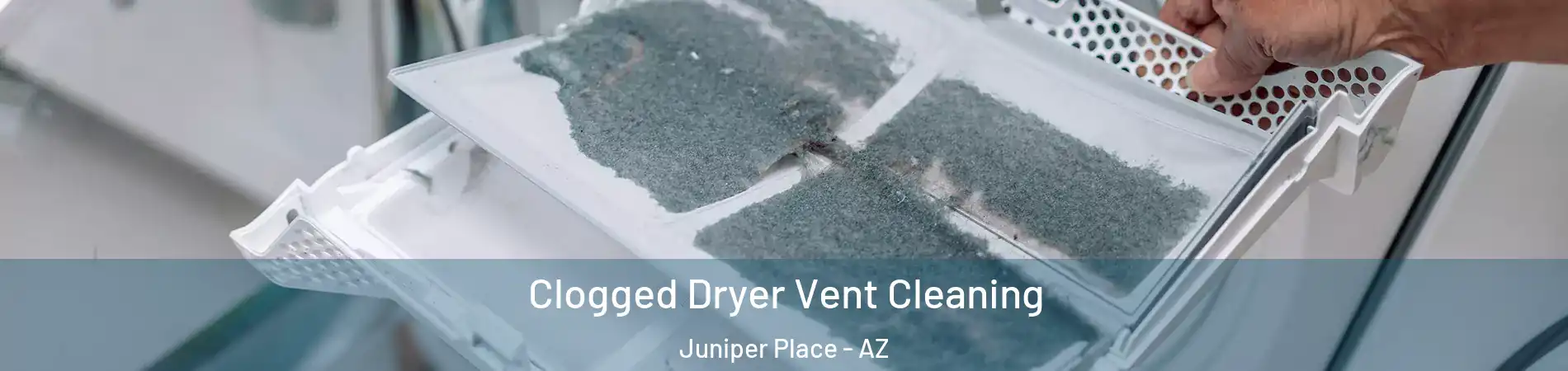 Clogged Dryer Vent Cleaning Juniper Place - AZ