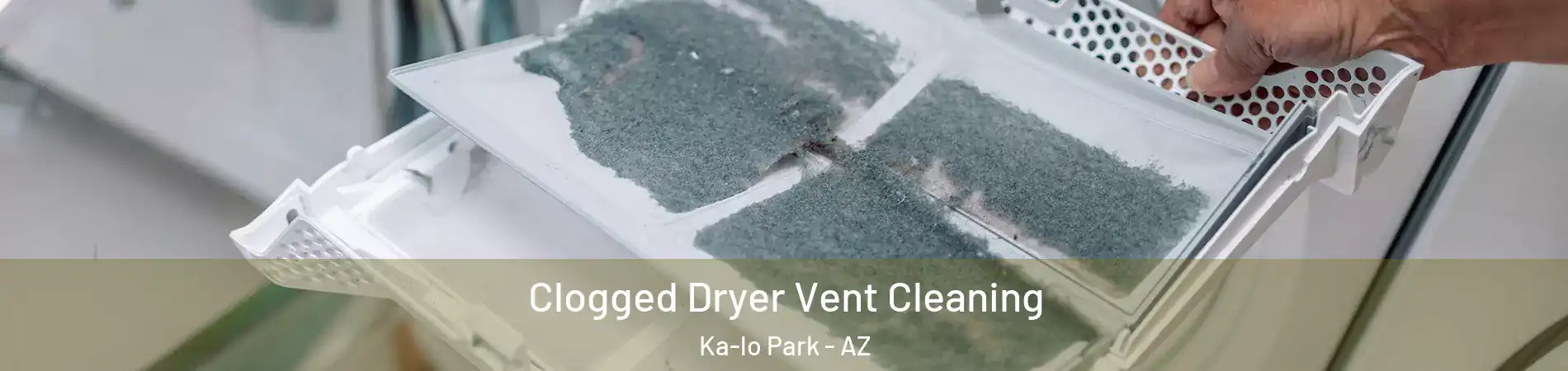 Clogged Dryer Vent Cleaning Ka-lo Park - AZ