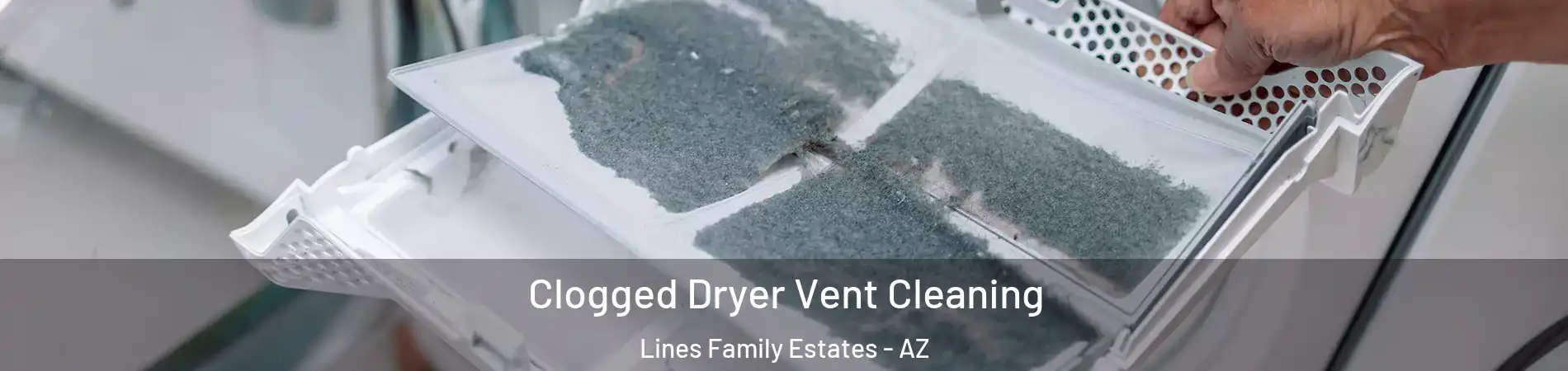 Clogged Dryer Vent Cleaning Lines Family Estates - AZ