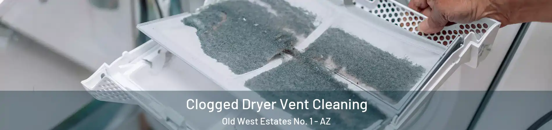 Clogged Dryer Vent Cleaning Old West Estates No. 1 - AZ
