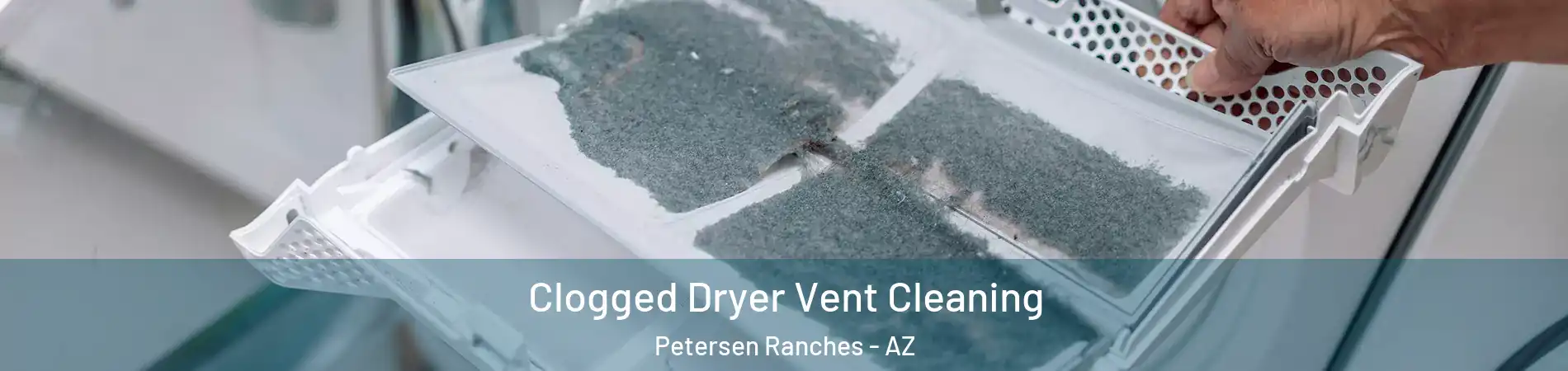 Clogged Dryer Vent Cleaning Petersen Ranches - AZ