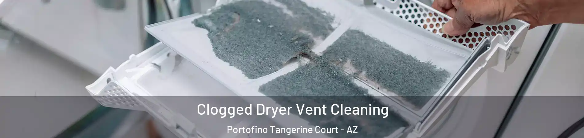 Clogged Dryer Vent Cleaning Portofino Tangerine Court - AZ