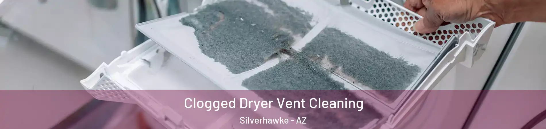Clogged Dryer Vent Cleaning Silverhawke - AZ