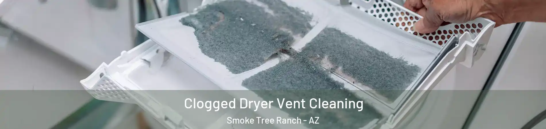 Clogged Dryer Vent Cleaning Smoke Tree Ranch - AZ