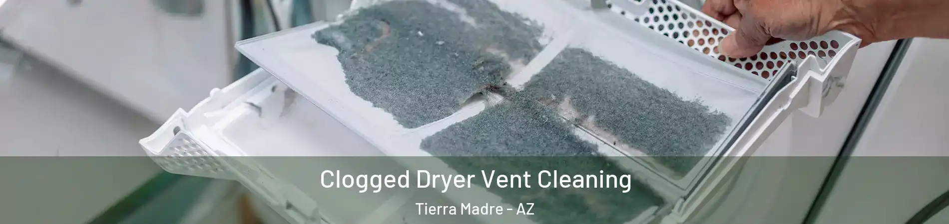 Clogged Dryer Vent Cleaning Tierra Madre - AZ