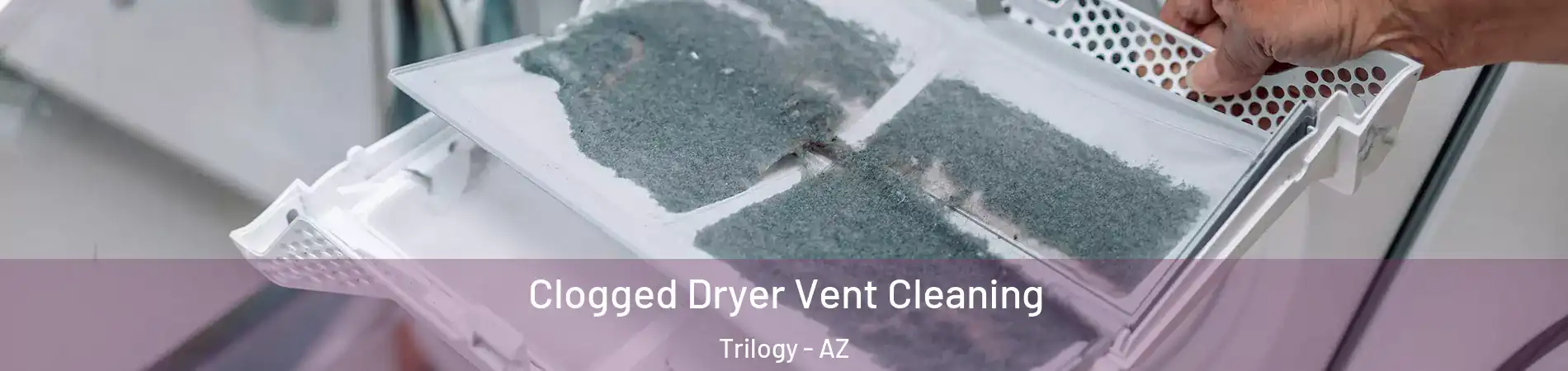 Clogged Dryer Vent Cleaning Trilogy - AZ