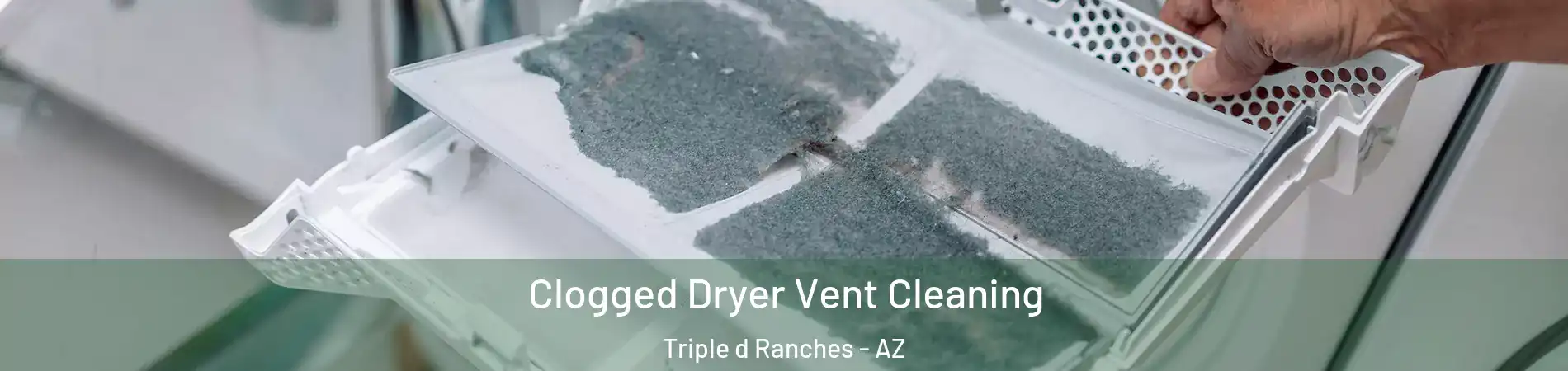 Clogged Dryer Vent Cleaning Triple d Ranches - AZ