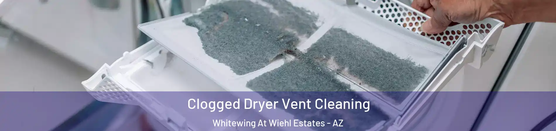 Clogged Dryer Vent Cleaning Whitewing At Wiehl Estates - AZ