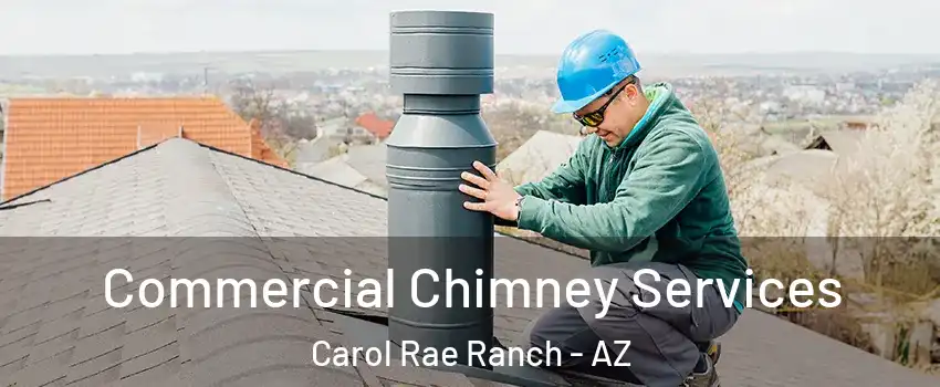 Commercial Chimney Services Carol Rae Ranch - AZ