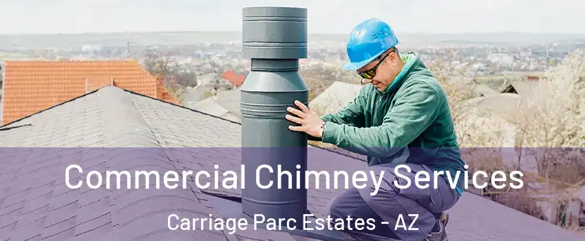 Commercial Chimney Services Carriage Parc Estates - AZ
