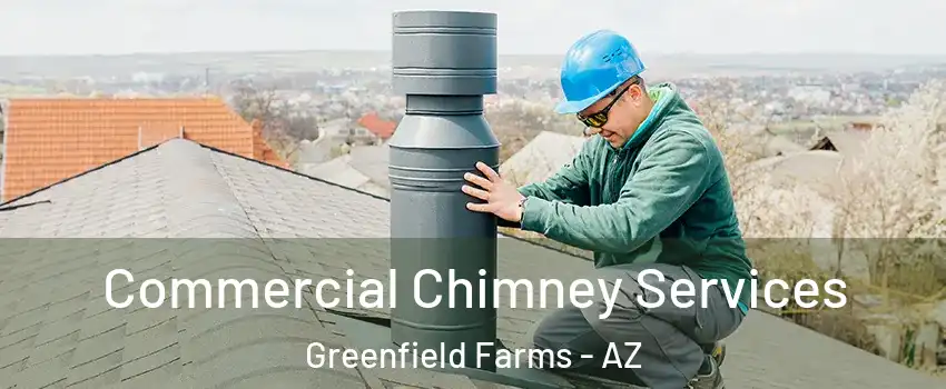 Commercial Chimney Services Greenfield Farms - AZ
