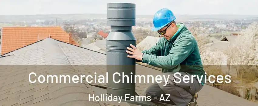 Commercial Chimney Services Holliday Farms - AZ