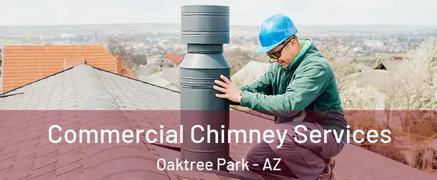 Commercial Chimney Services Oaktree Park - AZ
