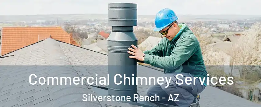 Commercial Chimney Services Silverstone Ranch - AZ