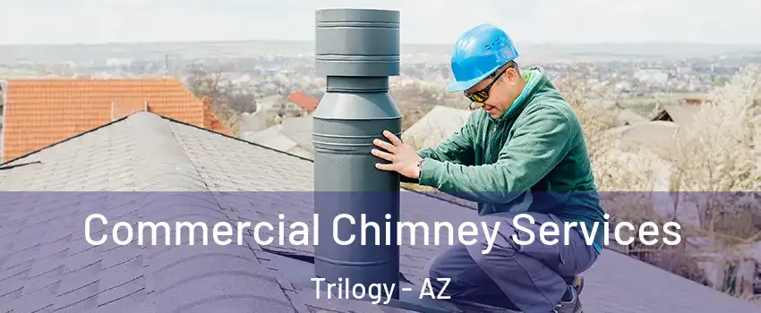 Commercial Chimney Services Trilogy - AZ