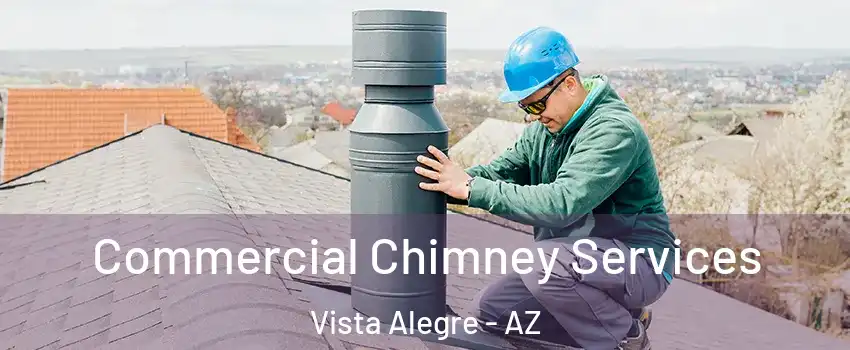 Commercial Chimney Services Vista Alegre - AZ