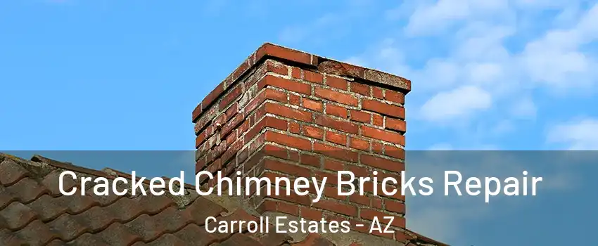 Cracked Chimney Bricks Repair Carroll Estates - AZ
