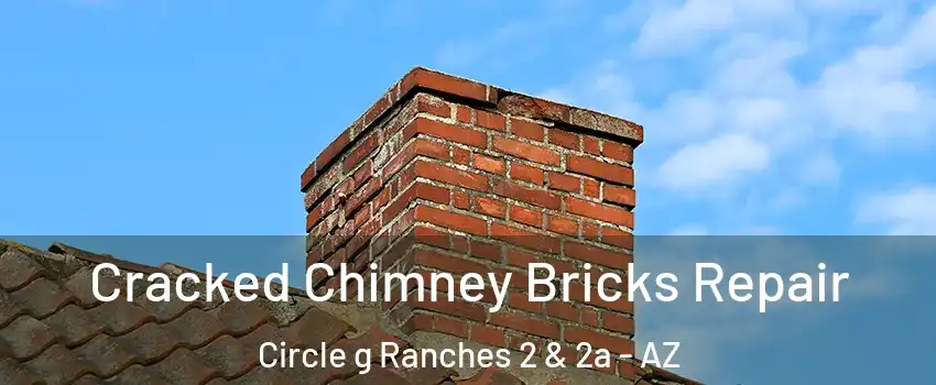 Cracked Chimney Bricks Repair Circle g Ranches 2 & 2a - AZ