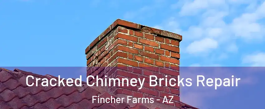 Cracked Chimney Bricks Repair Fincher Farms - AZ