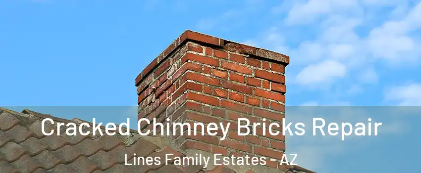 Cracked Chimney Bricks Repair Lines Family Estates - AZ