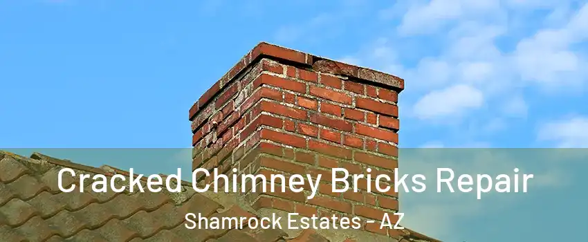 Cracked Chimney Bricks Repair Shamrock Estates - AZ