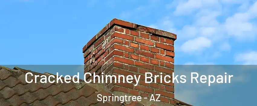 Cracked Chimney Bricks Repair Springtree - AZ
