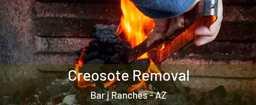 Creosote Removal Bar j Ranches - AZ