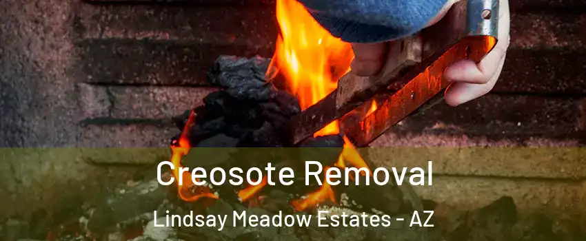 Creosote Removal Lindsay Meadow Estates - AZ