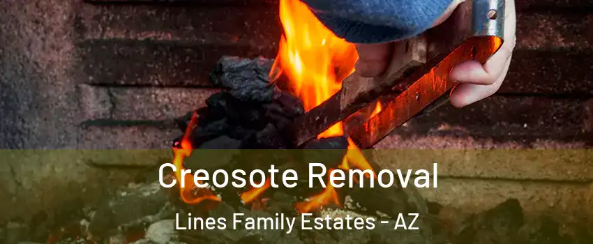 Creosote Removal Lines Family Estates - AZ
