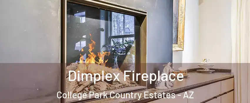 Dimplex Fireplace College Park Country Estates - AZ