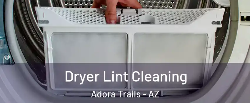 Dryer Lint Cleaning Adora Trails - AZ