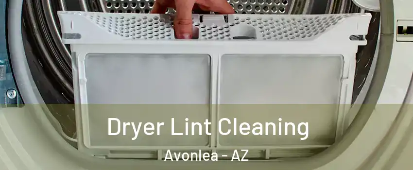 Dryer Lint Cleaning Avonlea - AZ