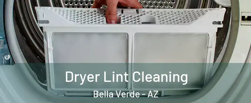 Dryer Lint Cleaning Bella Verde - AZ