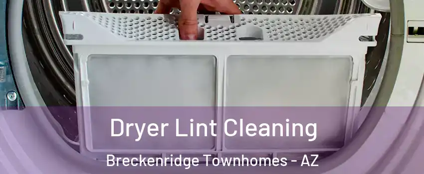 Dryer Lint Cleaning Breckenridge Townhomes - AZ
