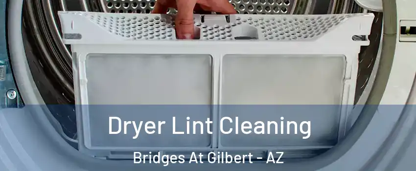 Dryer Lint Cleaning Bridges At Gilbert - AZ