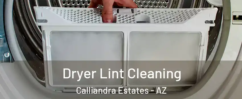 Dryer Lint Cleaning Calliandra Estates - AZ