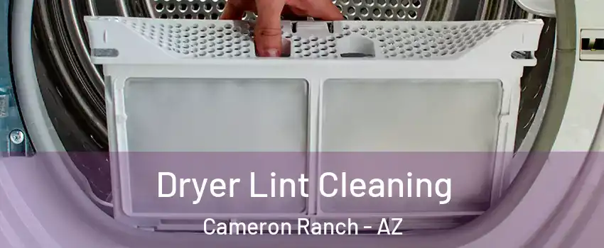 Dryer Lint Cleaning Cameron Ranch - AZ
