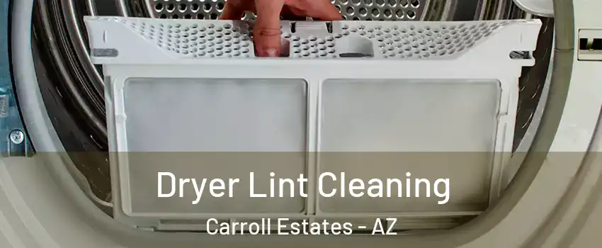 Dryer Lint Cleaning Carroll Estates - AZ