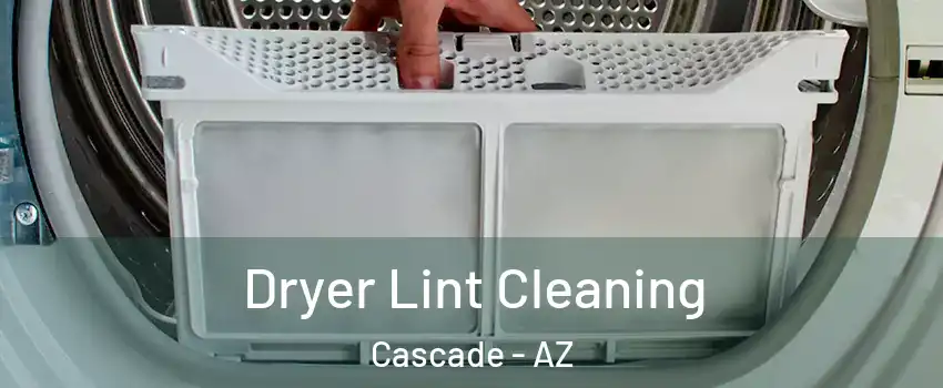 Dryer Lint Cleaning Cascade - AZ