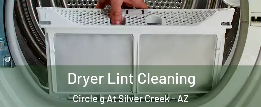 Dryer Lint Cleaning Circle g At Silver Creek - AZ