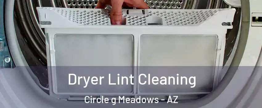 Dryer Lint Cleaning Circle g Meadows - AZ