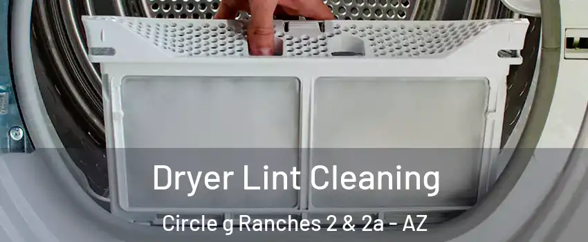 Dryer Lint Cleaning Circle g Ranches 2 & 2a - AZ