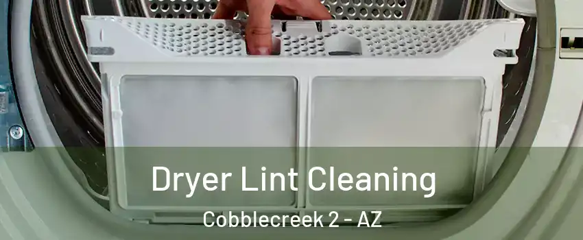 Dryer Lint Cleaning Cobblecreek 2 - AZ