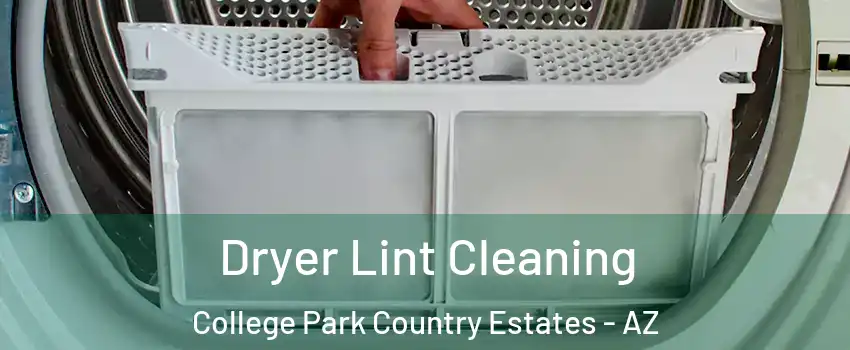 Dryer Lint Cleaning College Park Country Estates - AZ