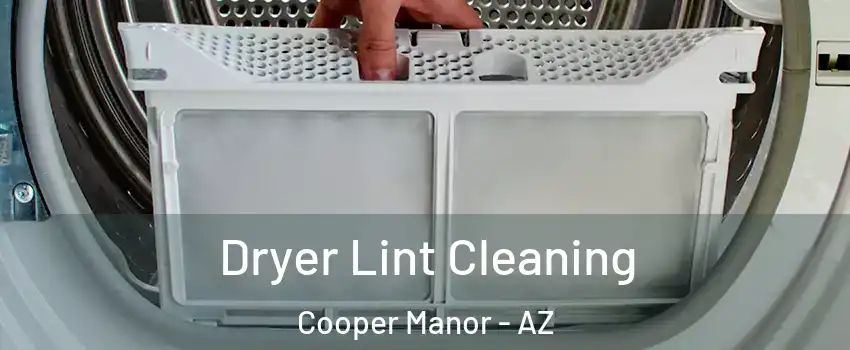 Dryer Lint Cleaning Cooper Manor - AZ