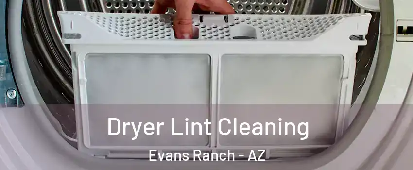 Dryer Lint Cleaning Evans Ranch - AZ